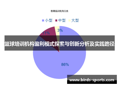 篮球培训机构盈利模式探索与创新分析及实践路径