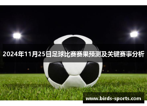 2024年11月25日足球比赛赛果预测及关键赛事分析